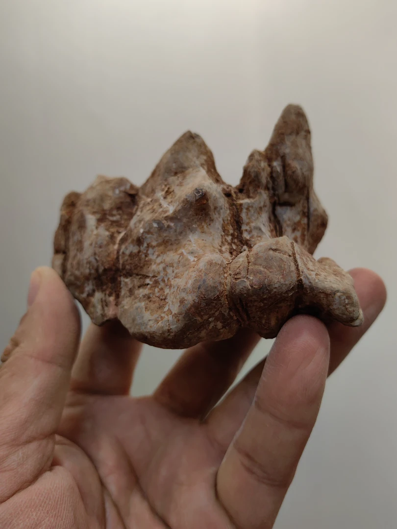 灵璧石直播付款