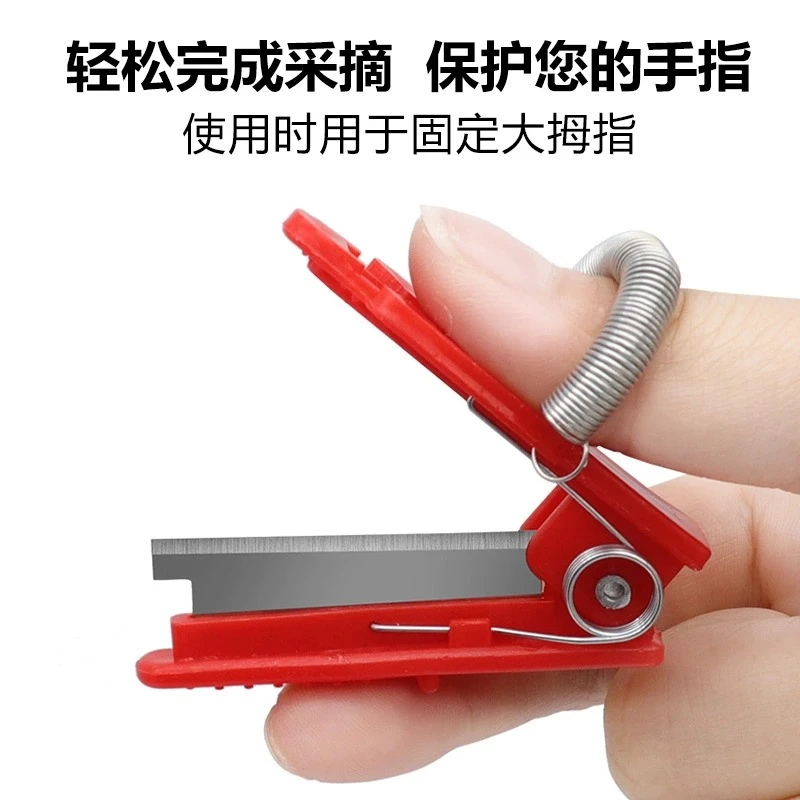 【2个装】采摘小铡刀拇指刀葡萄掐尖黄瓜蔬菜打叶掐须采摘器小铡刀