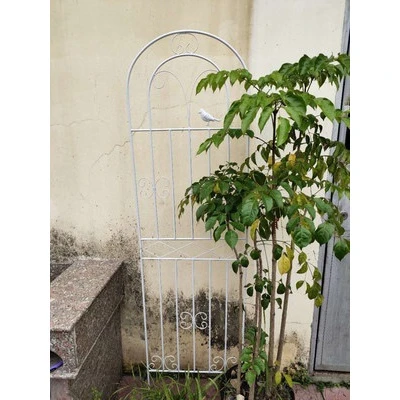跨境铁艺爬藤架蔷薇月季种植庭院栅栏户外花架支撑杆铁线莲爬藤架