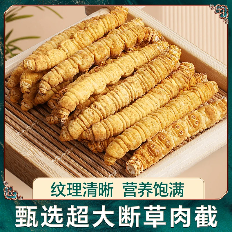 【虫草精选】肉截超大断草-24年新干断草甄选优质佳品冬虫夏草