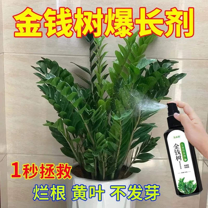 【拯救黄叶】金钱树营养液爆新芽防黄叶烂根一喷绿液体肥免稀释肥