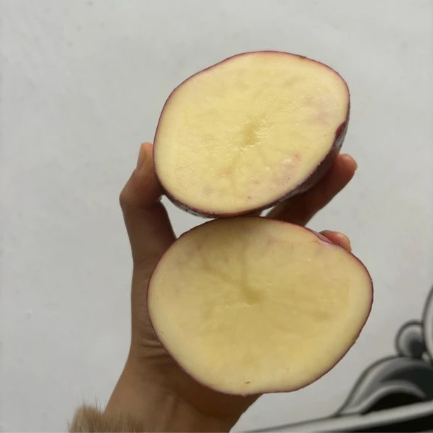 【福利100单】云南大理红皮黄心土豆洋芋农家自种产地现挖现发5/9斤