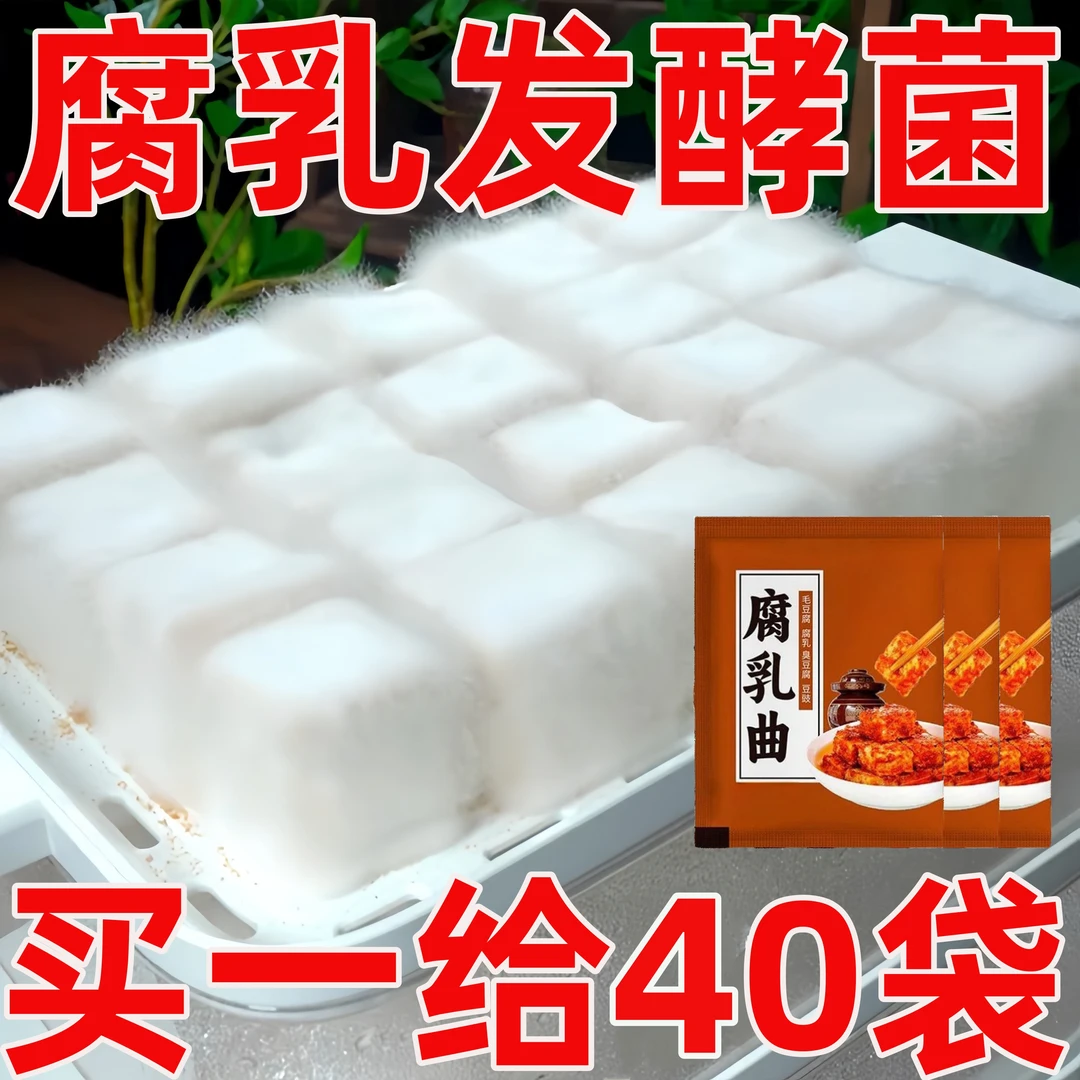 腐乳曲粉自制长毛臭豆腐霉豆腐乳毛豆腐发酵菌豆豉毛霉菌粉霉千张