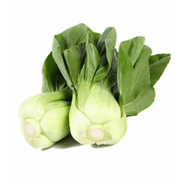 【农联专属】新鲜上海青约500g