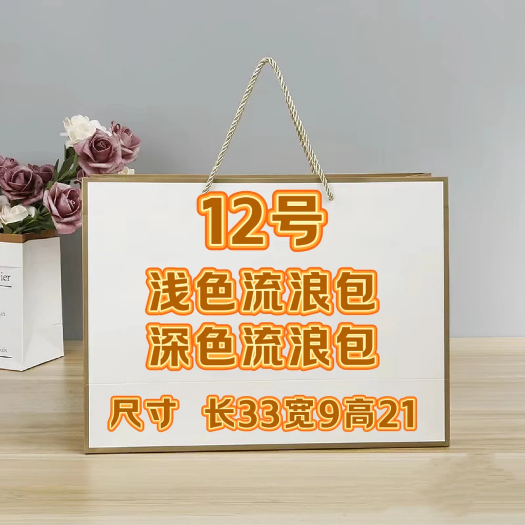 【12号】2024新新新新款流浪包（尺寸 长33宽9高21）气质时尚休闲