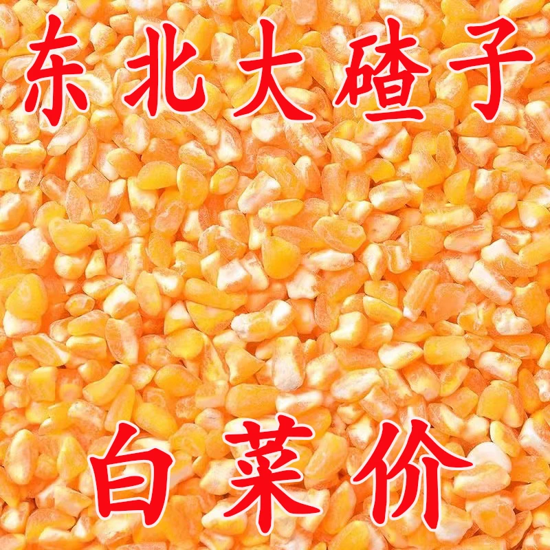 【5斤特价】东北黏碴子黄金糯玉米碴子米饭伴侣糯玉米大碴子批发