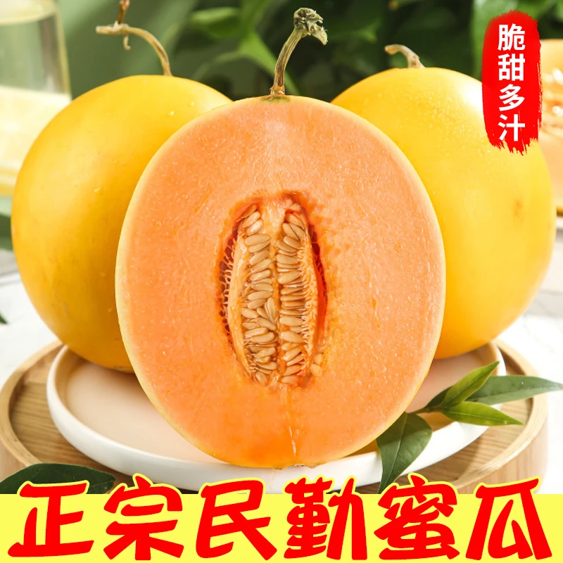 民勤蜜瓜新鲜现摘应季时令水果7-8斤装 坏果包赔L