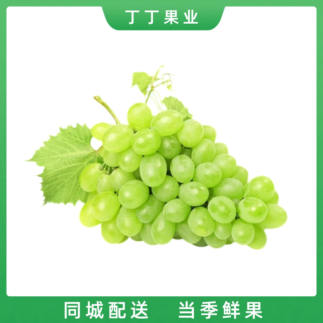青提 500g