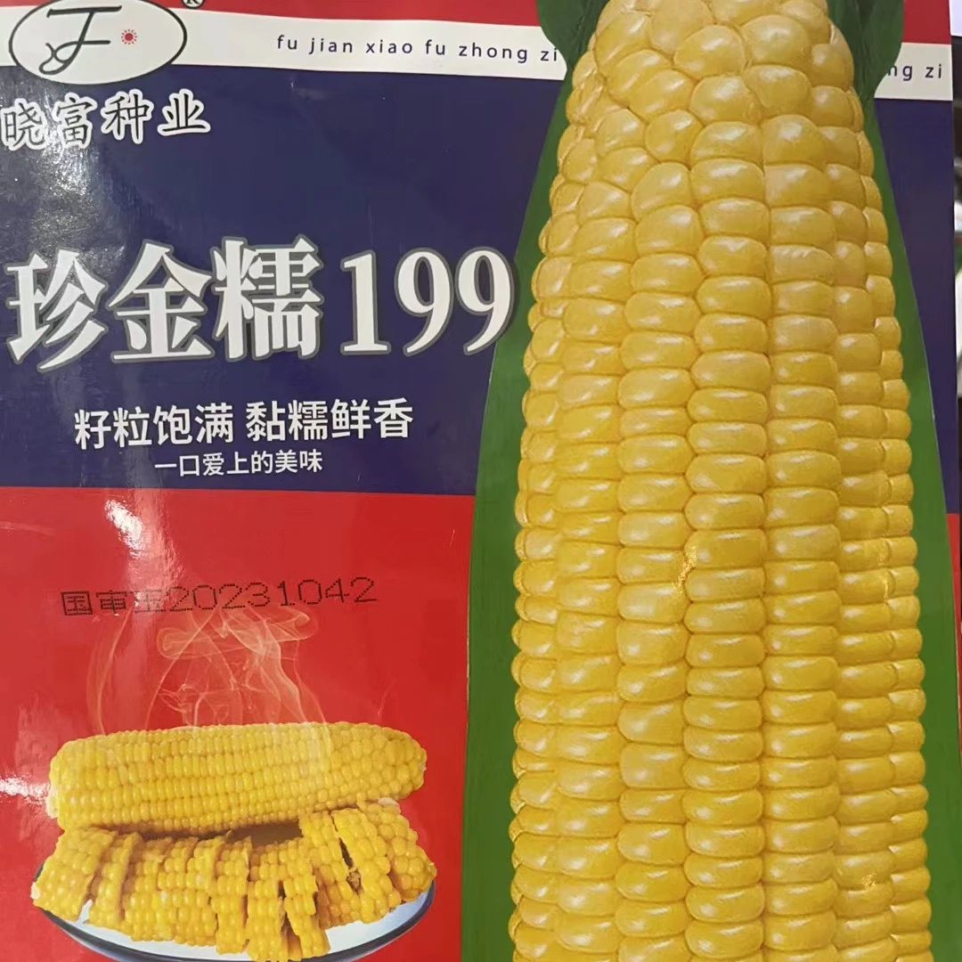 珍金糯199黄玉米50克红板