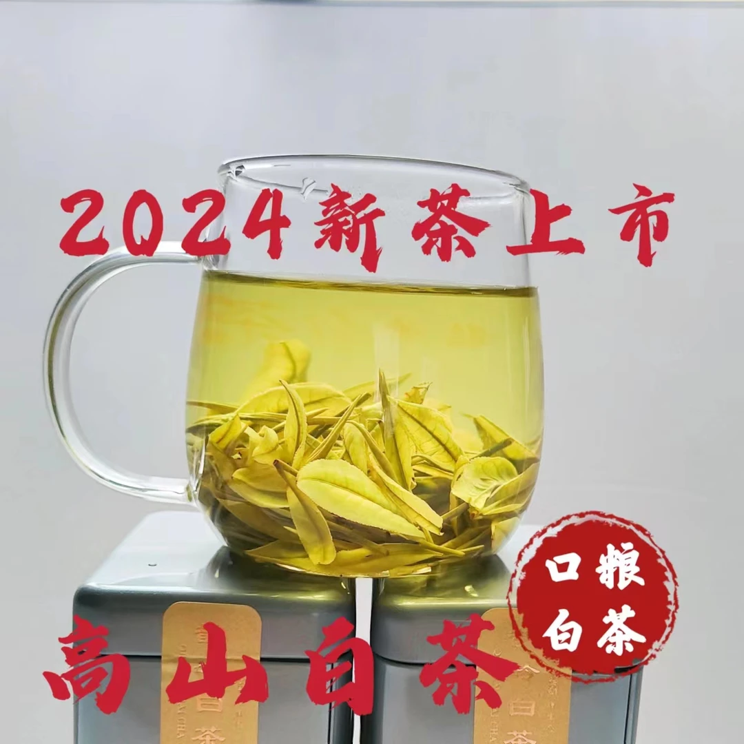 2024【高山白茶】口粮茶 鹊岭白茶 鲜甜回甘 精选春季茶叶250G