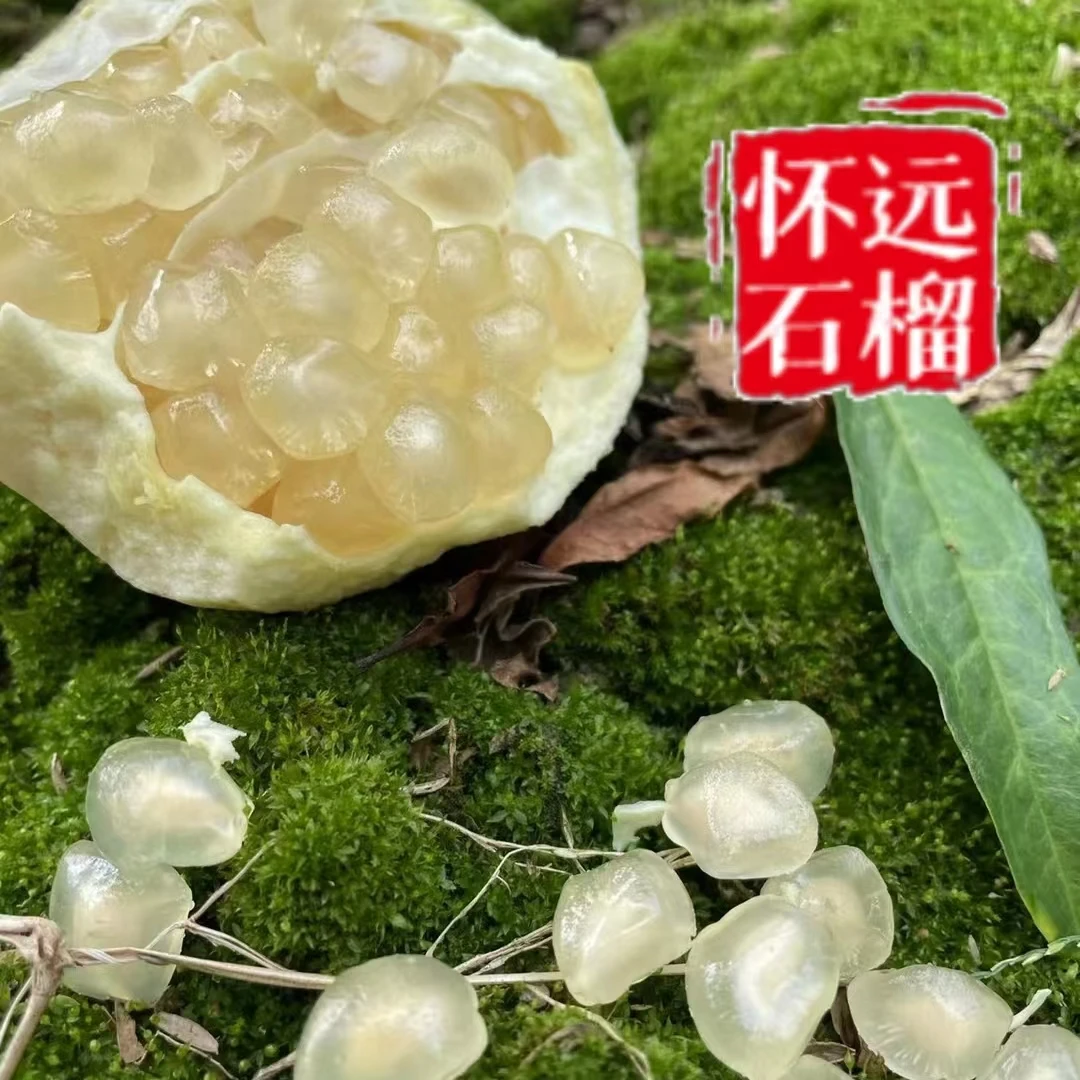 正宗怀远石榴【特价果】鲜甜可口 白花玉石籽石榴9斤箱装