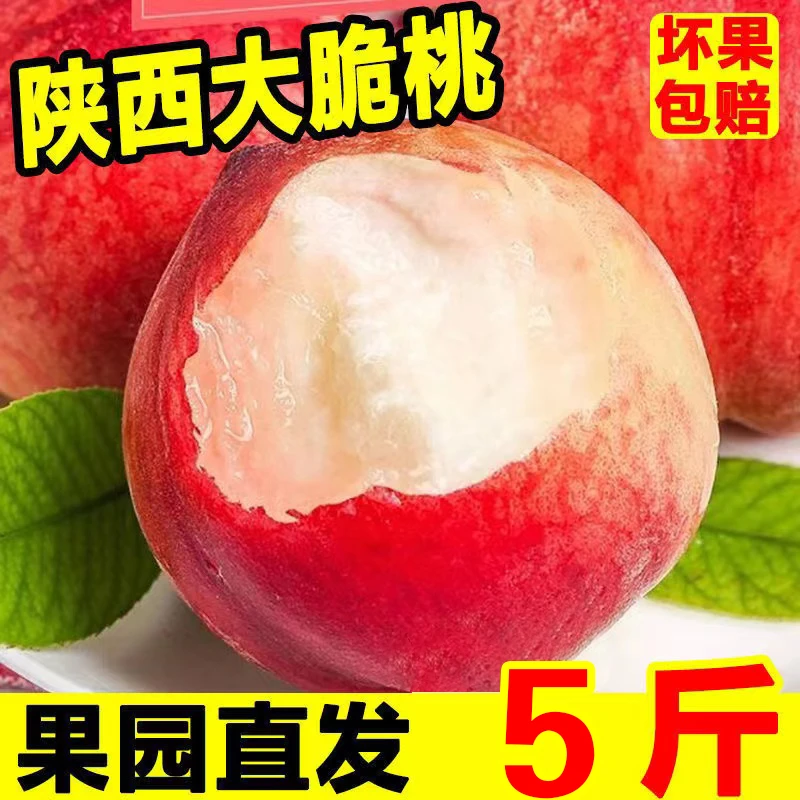 [买3斤送2斤]带箱5-5.5斤陕西脆蜜桃新鲜超甜现摘毛桃当季水果