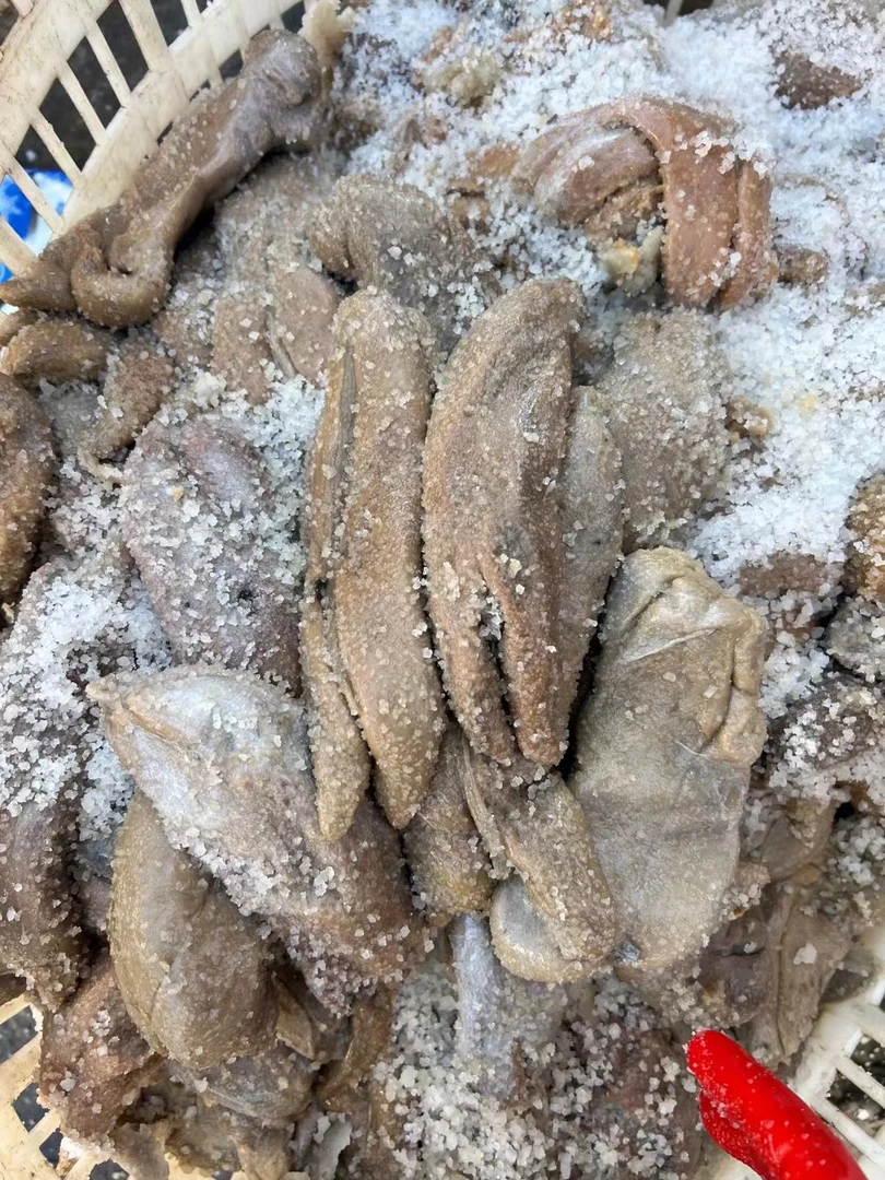 本港腌制墨斗糕