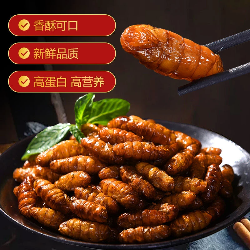 【即食香酥蚕蛹】油炸桑蚕蛹鲜香味丰富蚕茧子好吃美味特产夏日美食