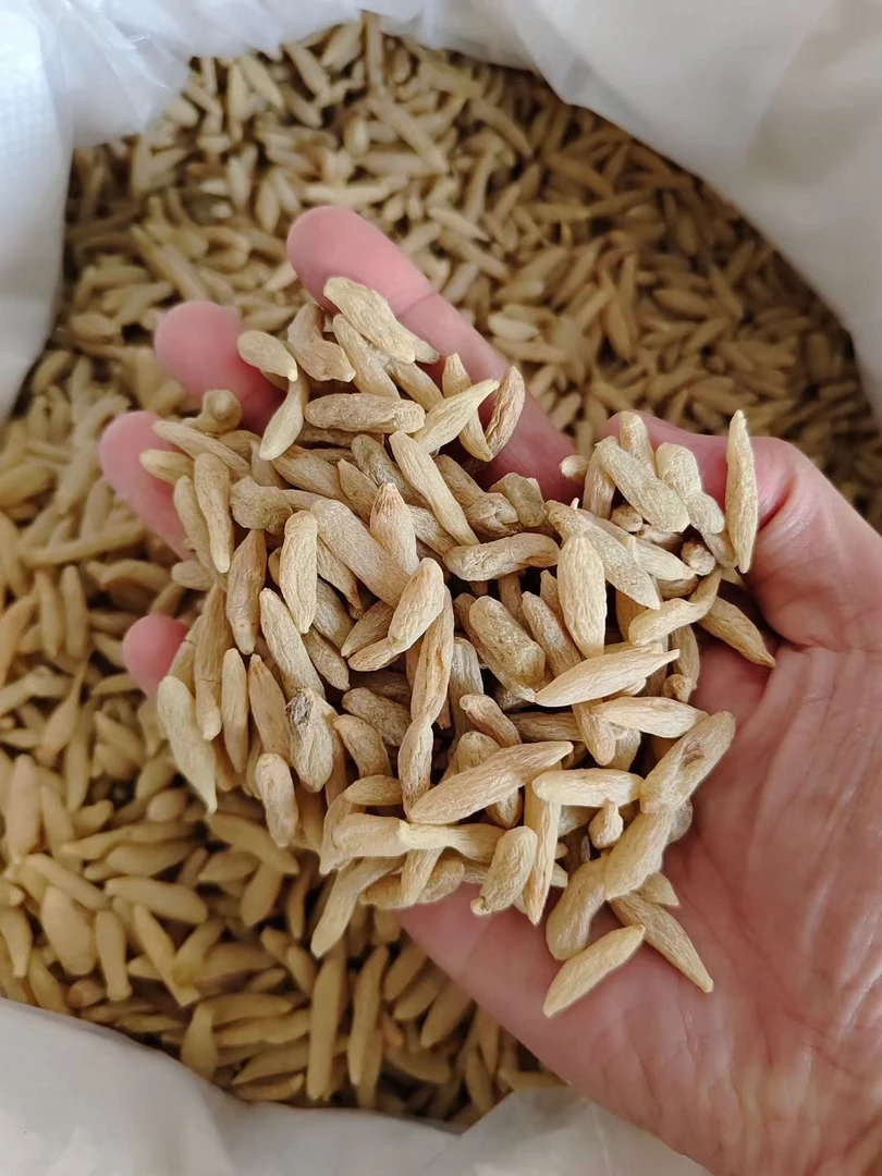 大山好物【麦冬】煲汤