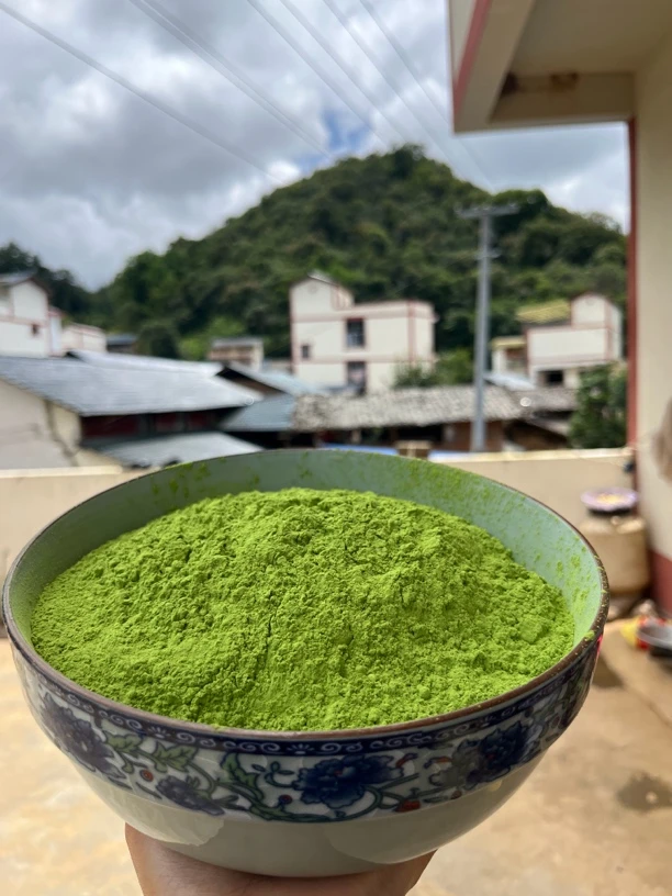 大山好货（羽衣甘蓝粉）