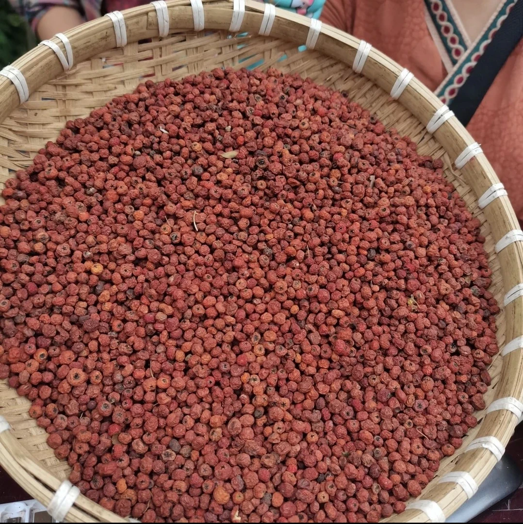 云南山货 紫杉果 煮水 泡水 煲汤
