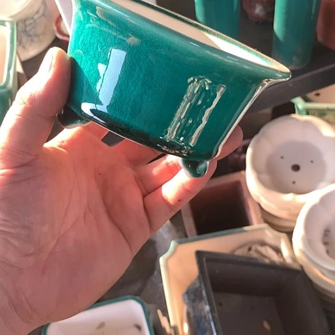 紫砂20CM（含）-50CM（不含）