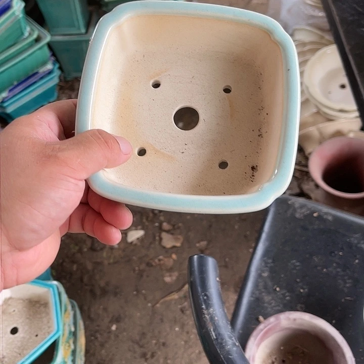 紫砂20CM（含）-50CM（不含）