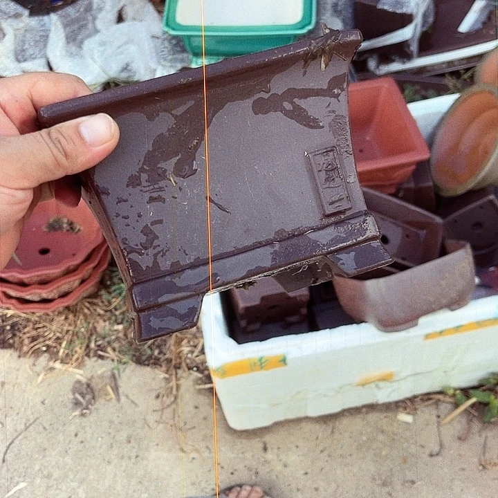 紫砂20CM（含）-50CM（不含）