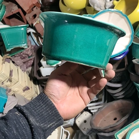 紫砂20CM(含)-50CM(不含)