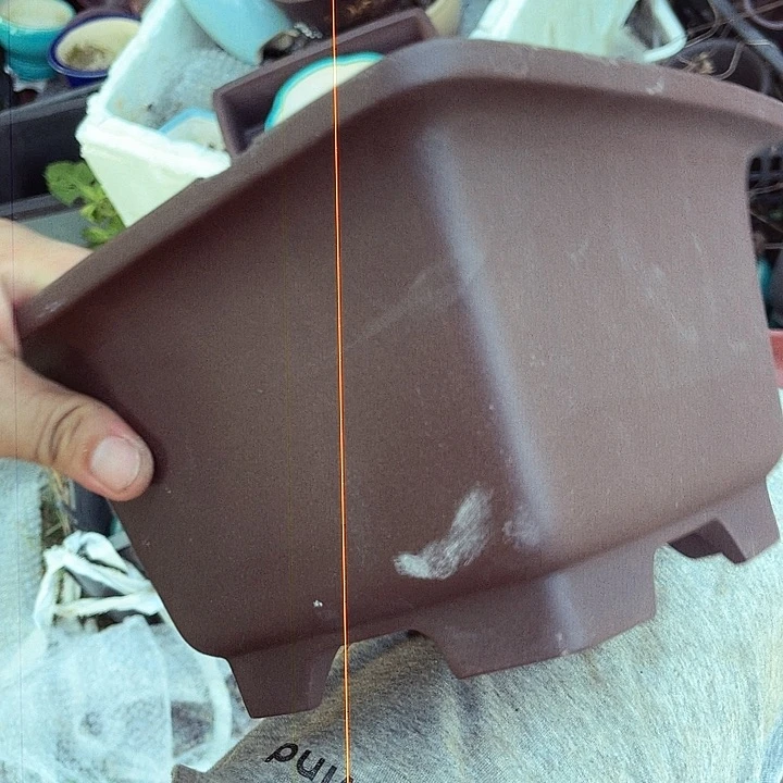 紫砂20CM（含）-50CM（不含）