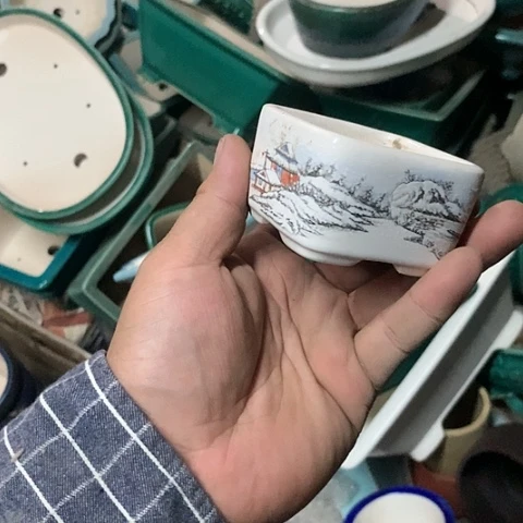 紫砂20CM（含）-50CM（不含）