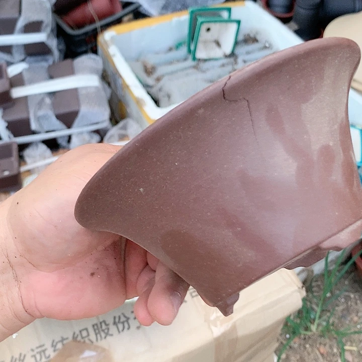 紫砂20CM（含）-50CM（不含）