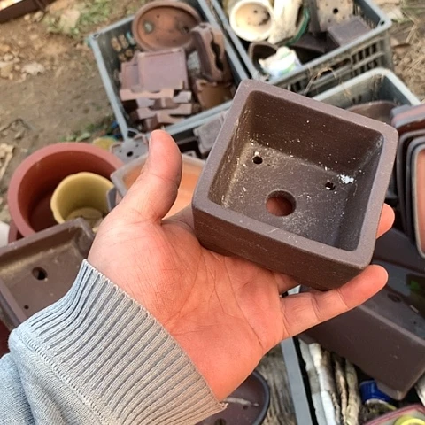 紫砂20CM（含）-50CM（不含）