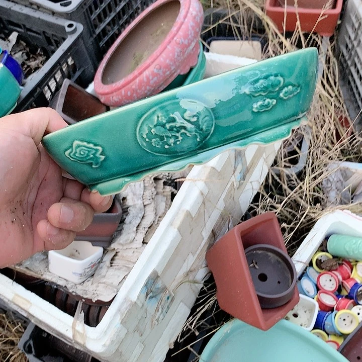紫砂20CM（含）-50CM（不含）