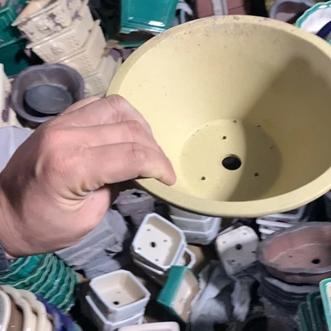 紫砂20CM（含）-50CM（不含）