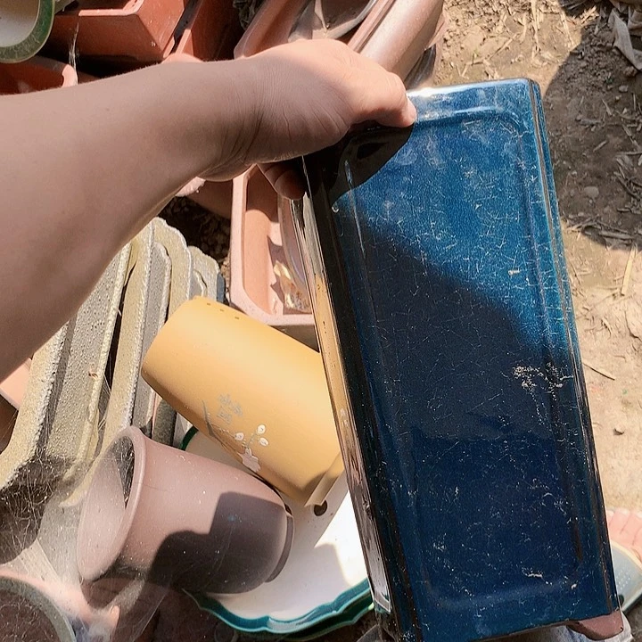 紫砂20CM(含)-50CM(不含)
