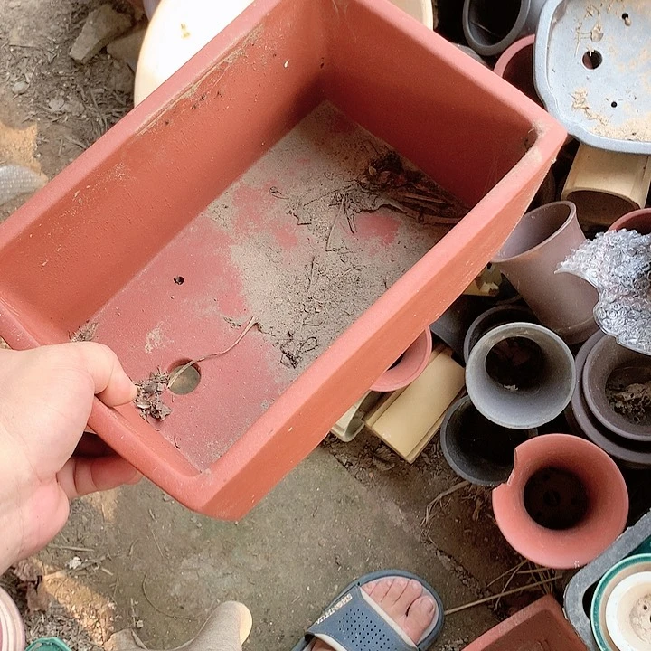 紫砂20CM（含）-50CM（不含）