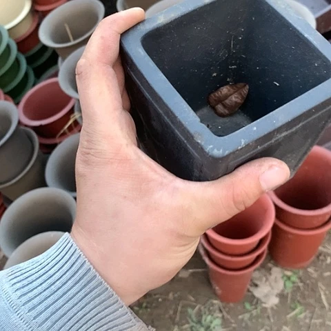 紫砂20CM（含）-50CM（不含）