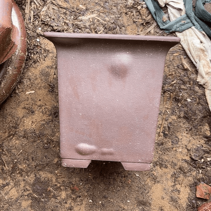 紫砂20CM(含)-50CM(不含)