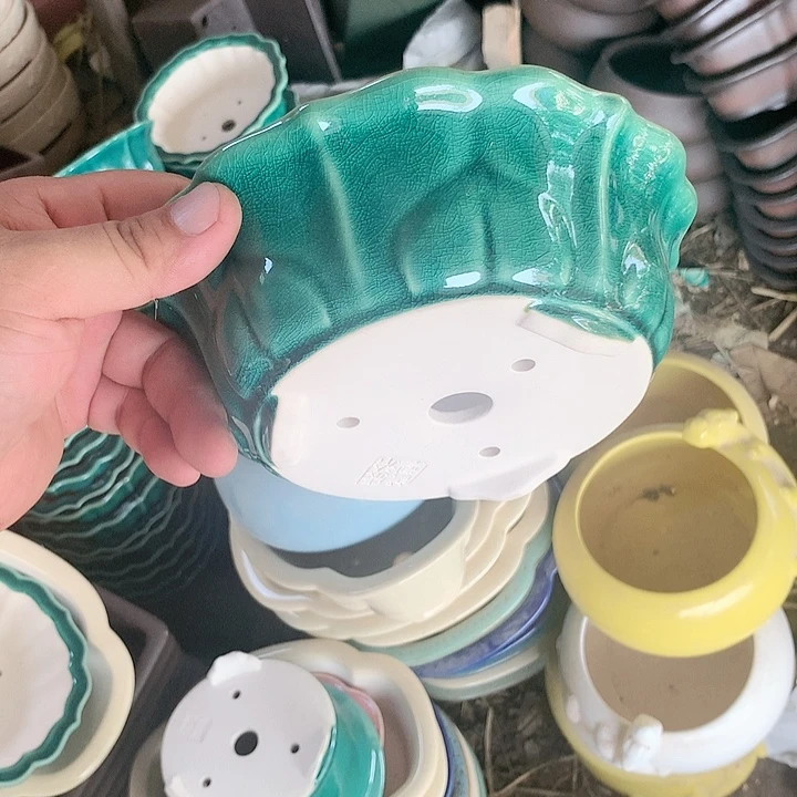 紫砂20CM（含）-50CM（不含）