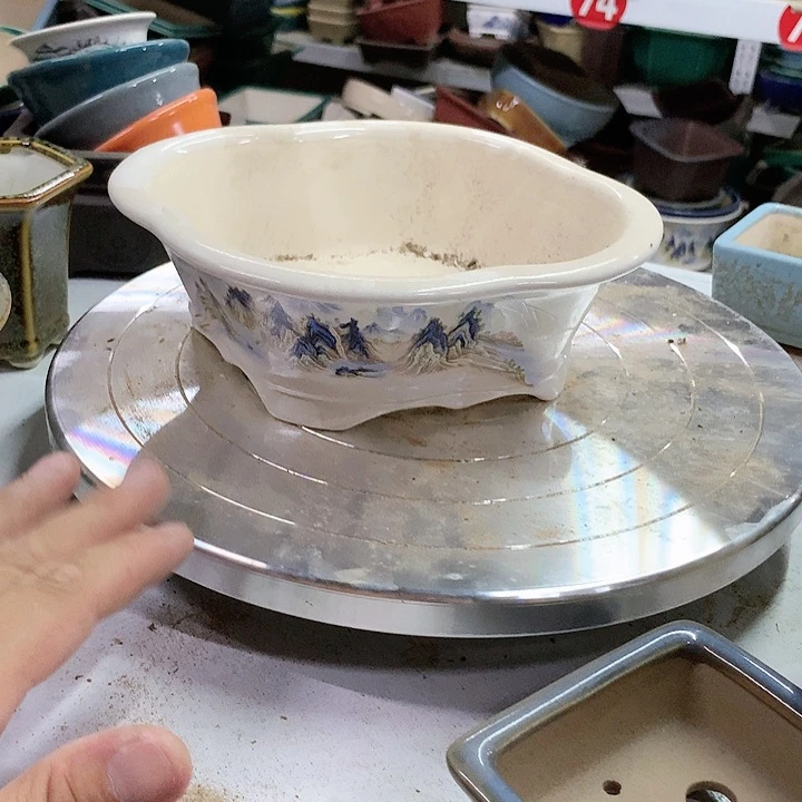 紫砂20CM(含)-50CM(不含)