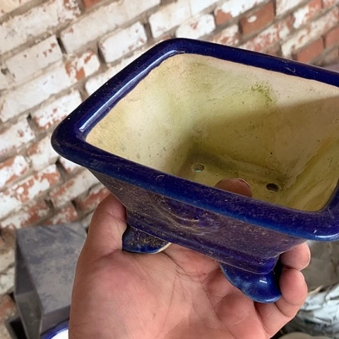 紫砂20CM（含）-50CM（不含）