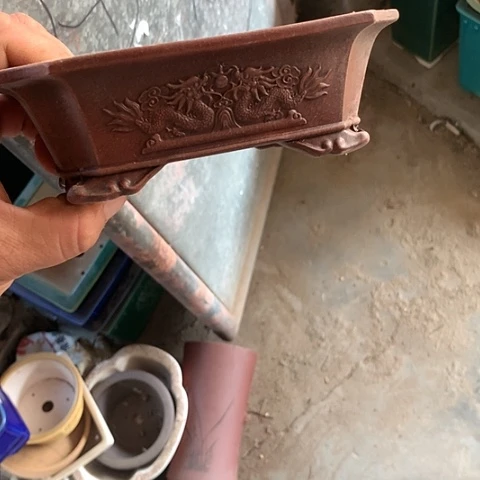 紫砂海*h雨后哈哈哈哈