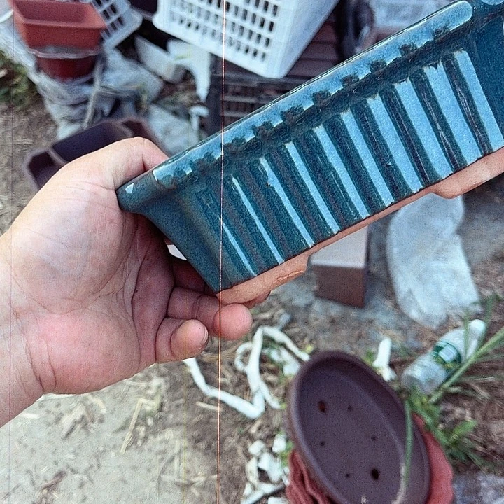 紫砂20CM（含）-50CM（不含）