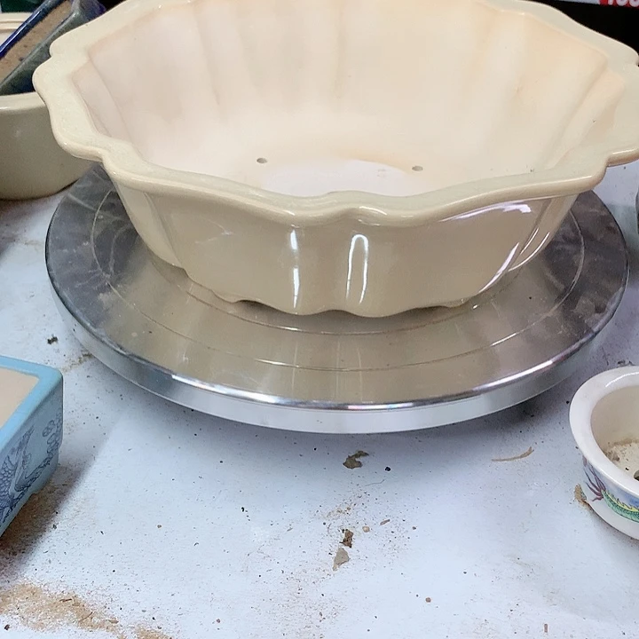 紫砂20CM（含）-50CM（不含）