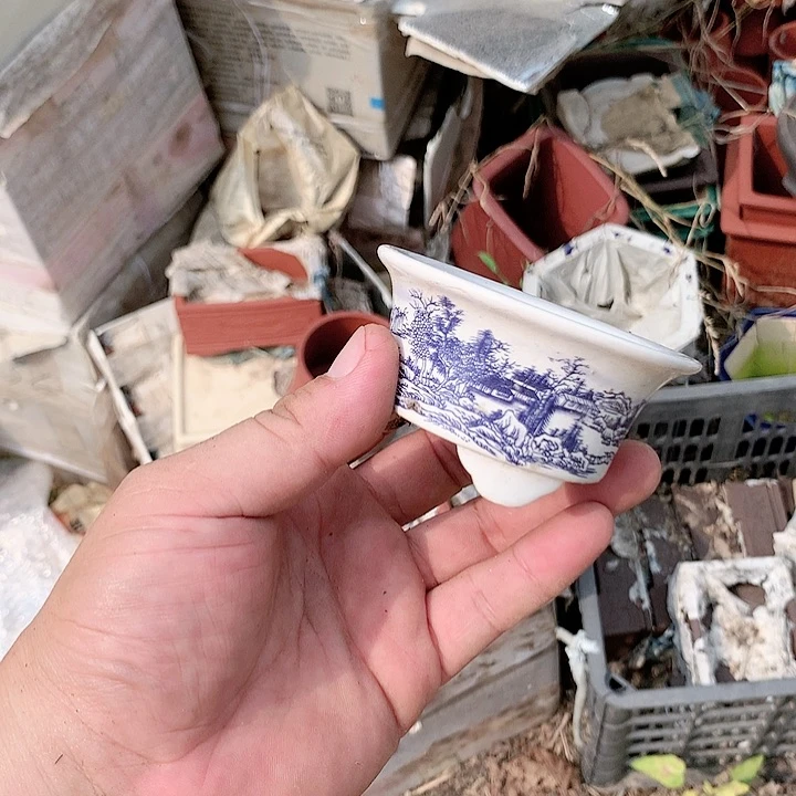 紫砂20CM（含）-50CM（不含）