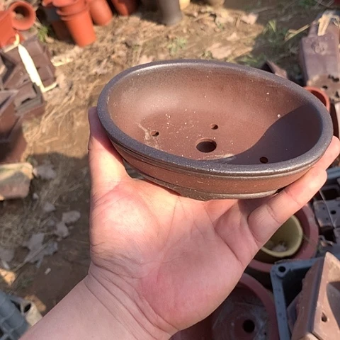 紫砂20CM（含）-50CM（不含）