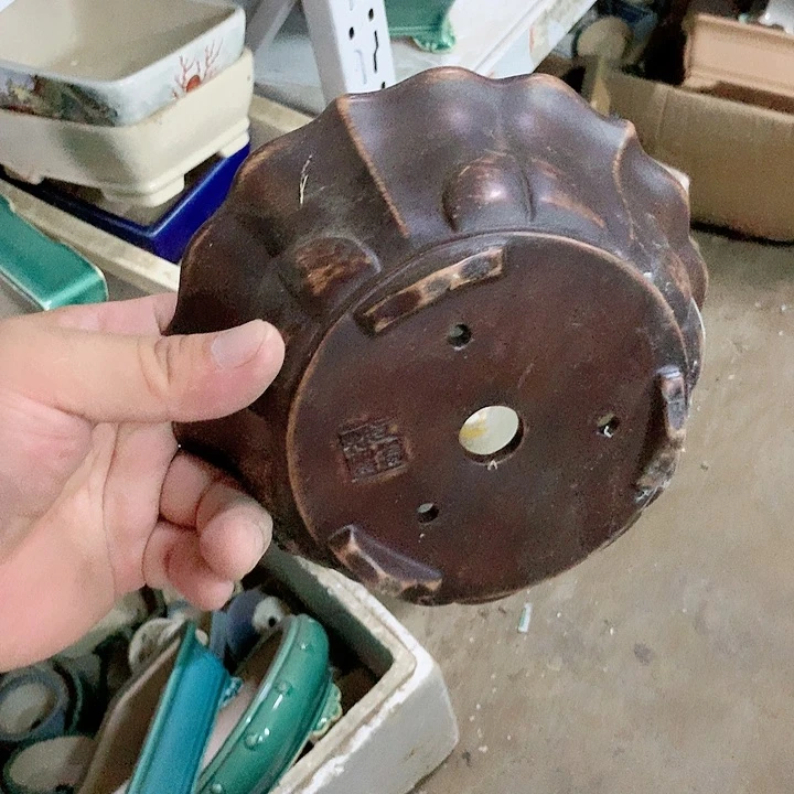 紫砂20CM（含）-50CM（不含）