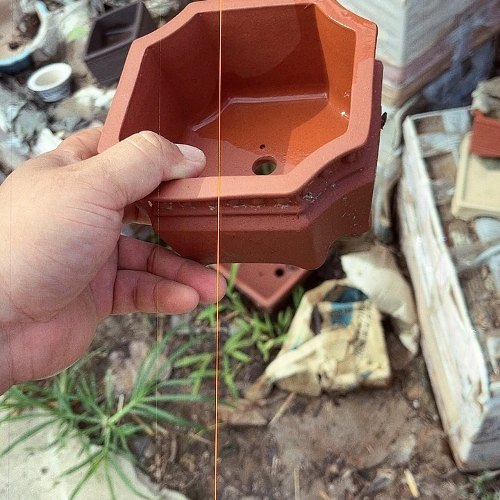 紫砂20CM（含）-50CM（不含）