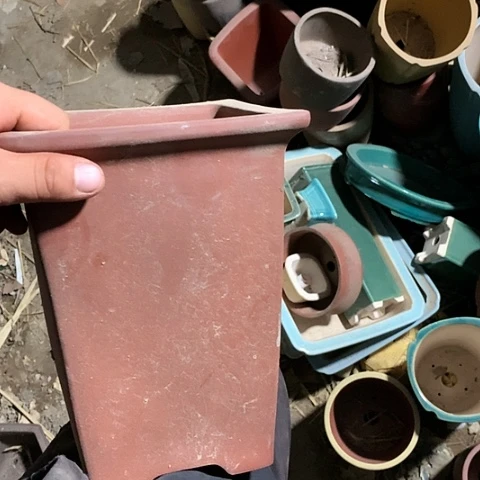 紫砂淘宝的优惠券