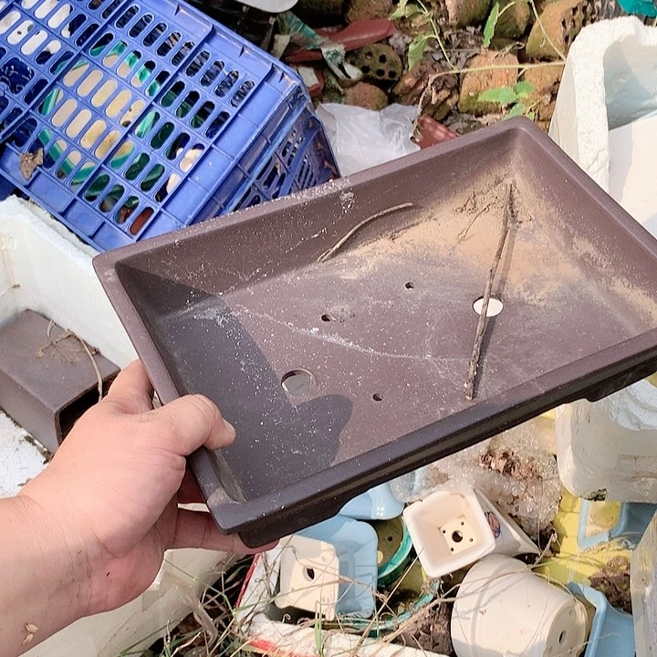 紫砂20CM（含）-50CM（不含）