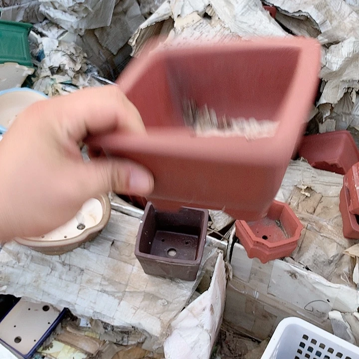紫砂20CM（含）-50CM（不含）