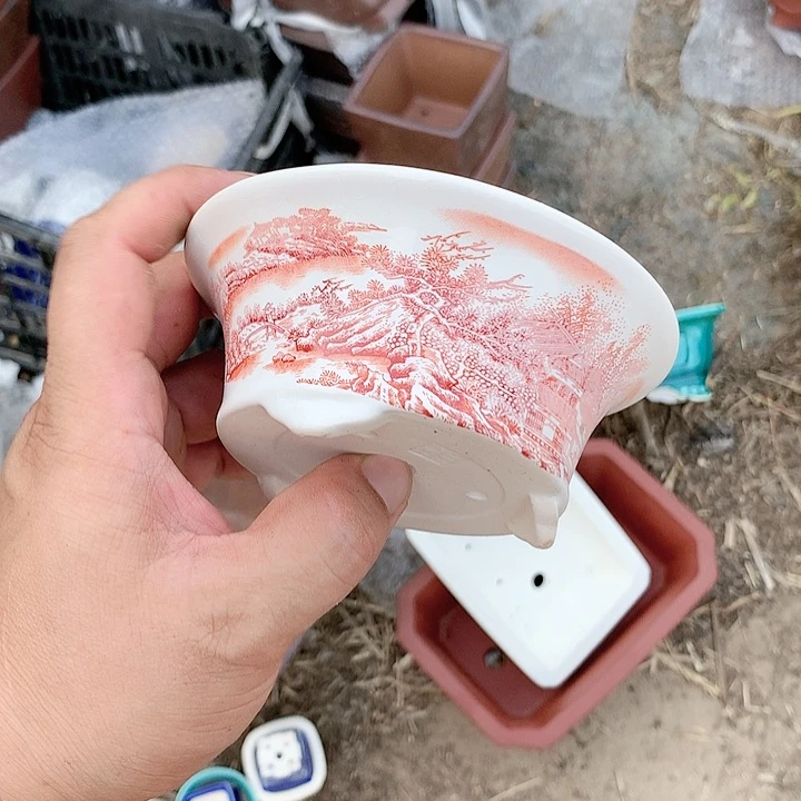 紫砂20CM（含）-50CM（不含）
