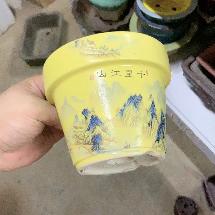 紫砂20CM（含）-50CM（不含）